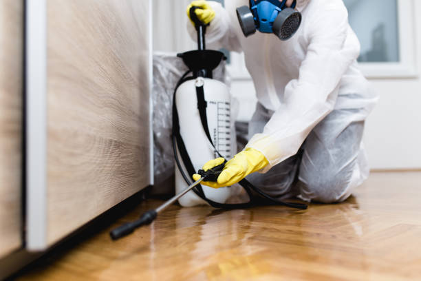 Best Local Pest Control Services  in Elmwood Park, NJ