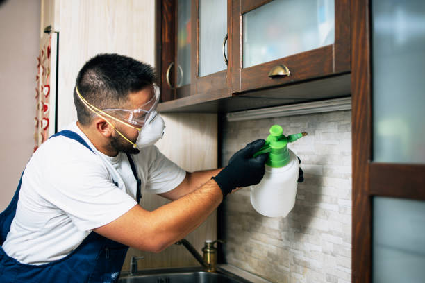 Best Cockroach Control Services  in Elmwood Park, NJ