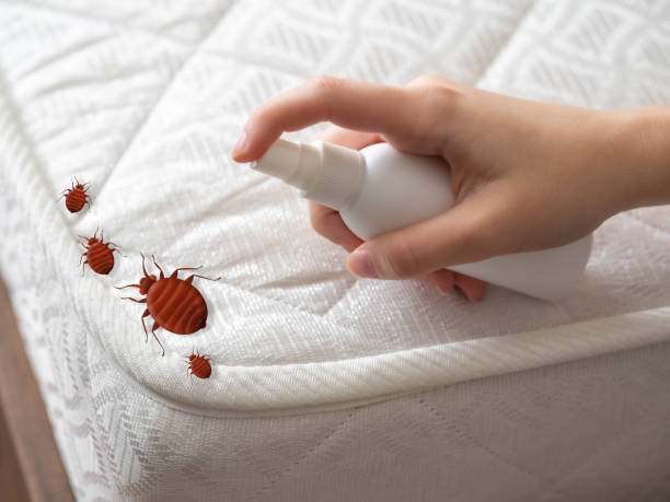Reliable Elmwood Park, NJ Pest Control Solutions