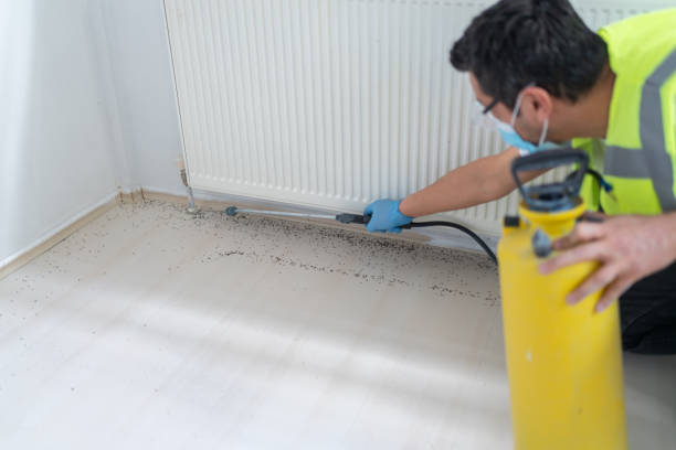 Best Bed Bug Extermination  in Elmwood Park, NJ
