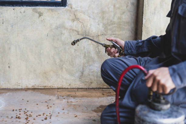 Best Affordable Pest Control Services  in Elmwood Park, NJ